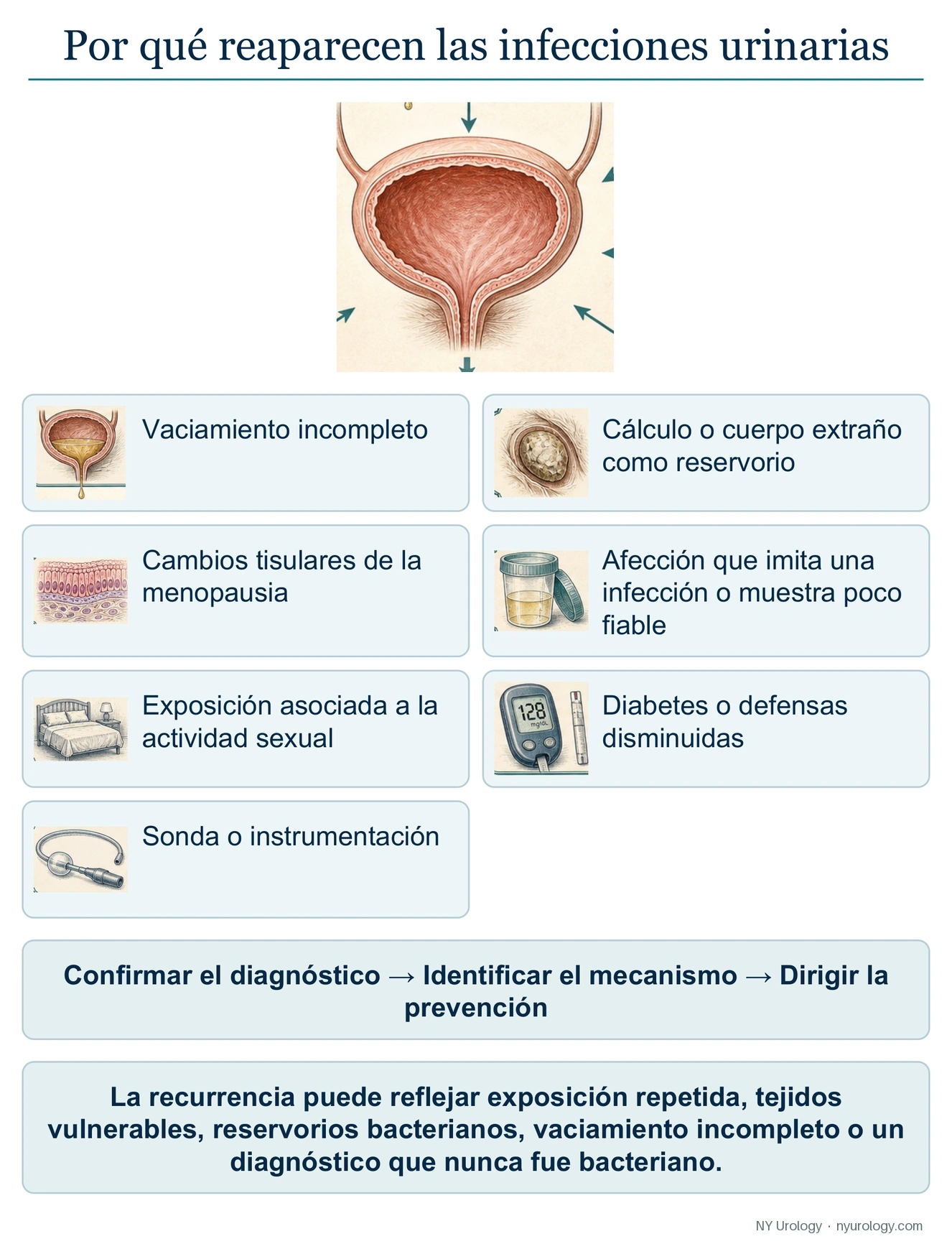 ¿Por qué reaparecen las infecciones urinarias?