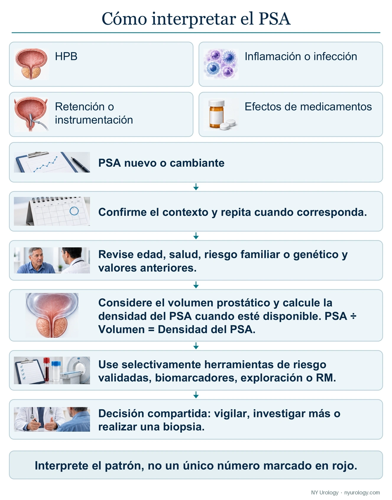 El protocolo de interpretación del PSA