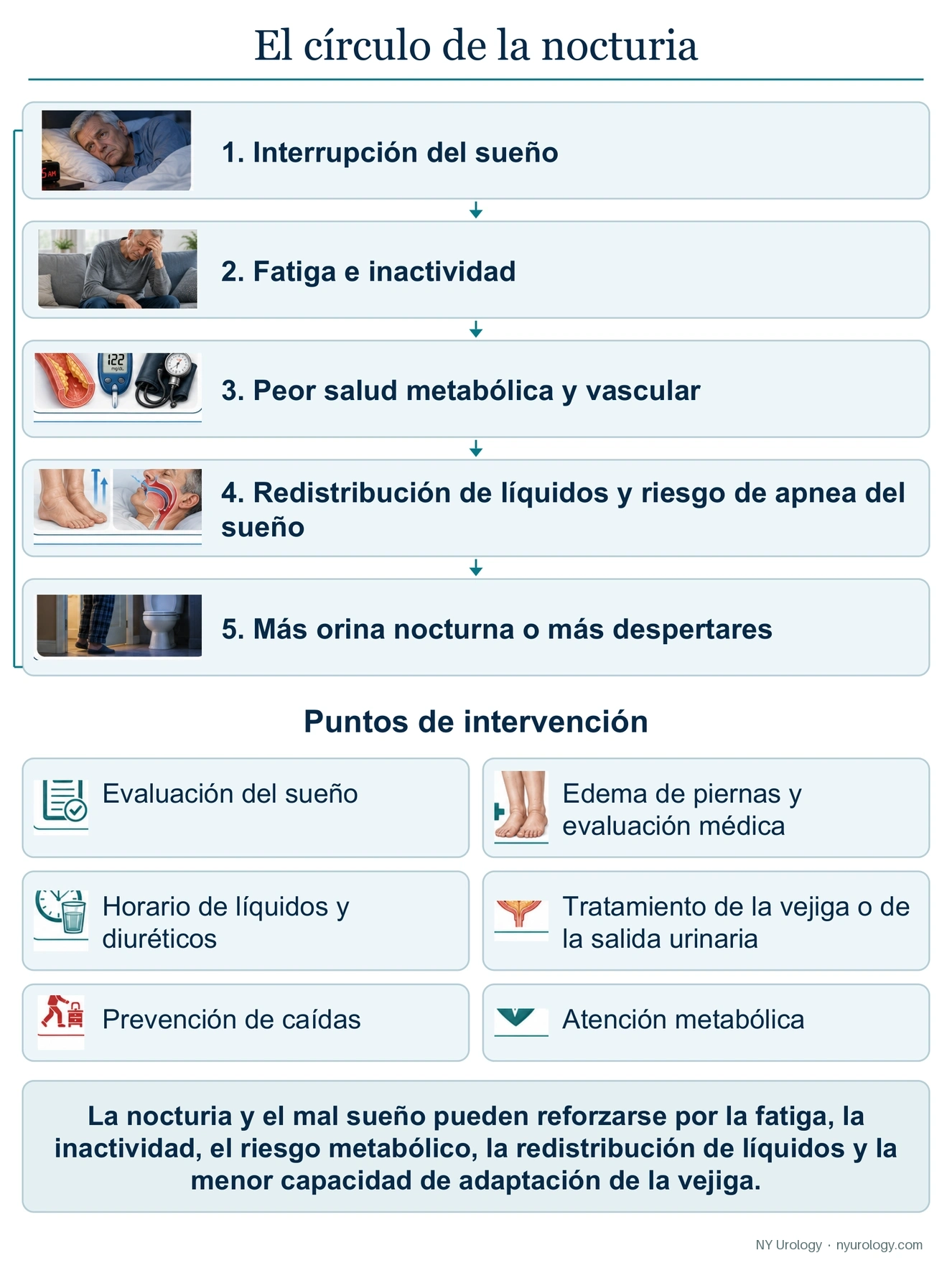 El ciclo de la nocturia