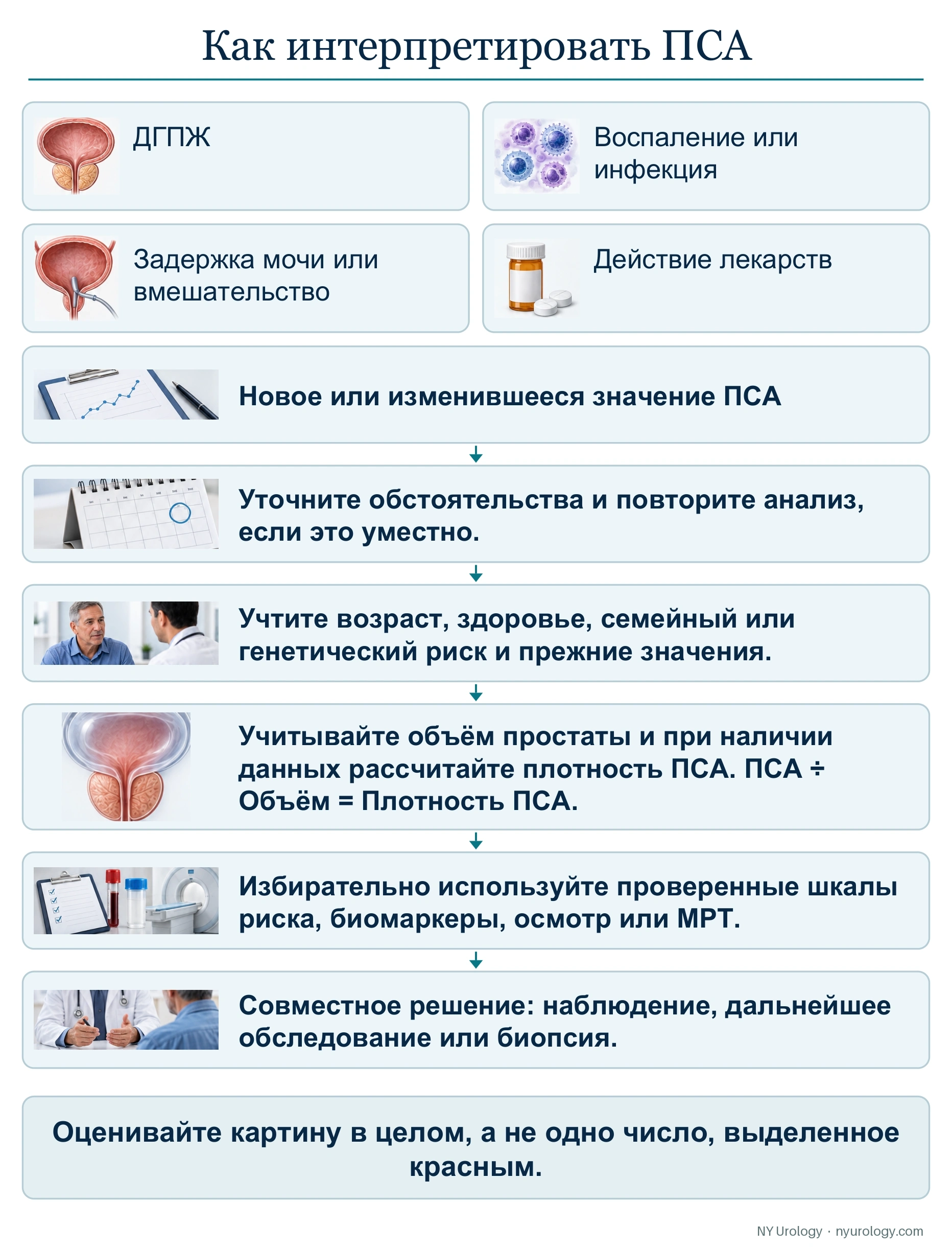 Как интерпретировать ПСА