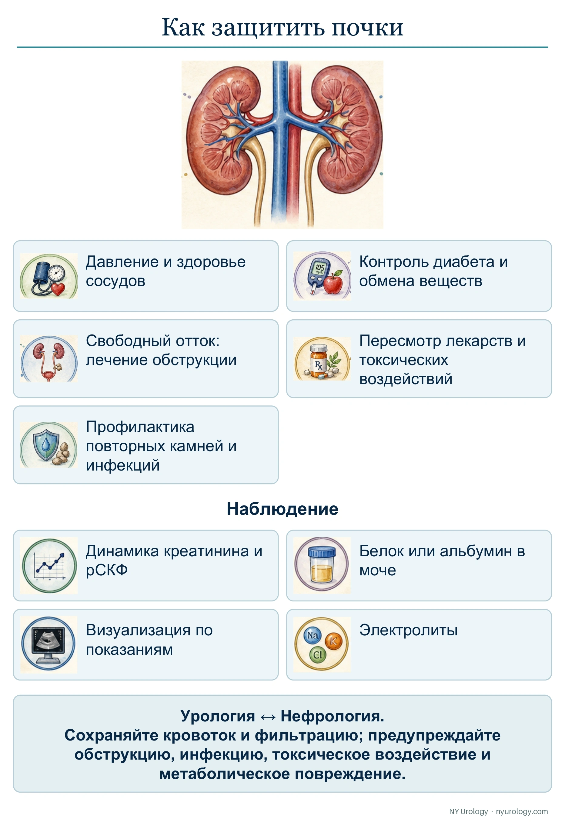 Как защитить почки