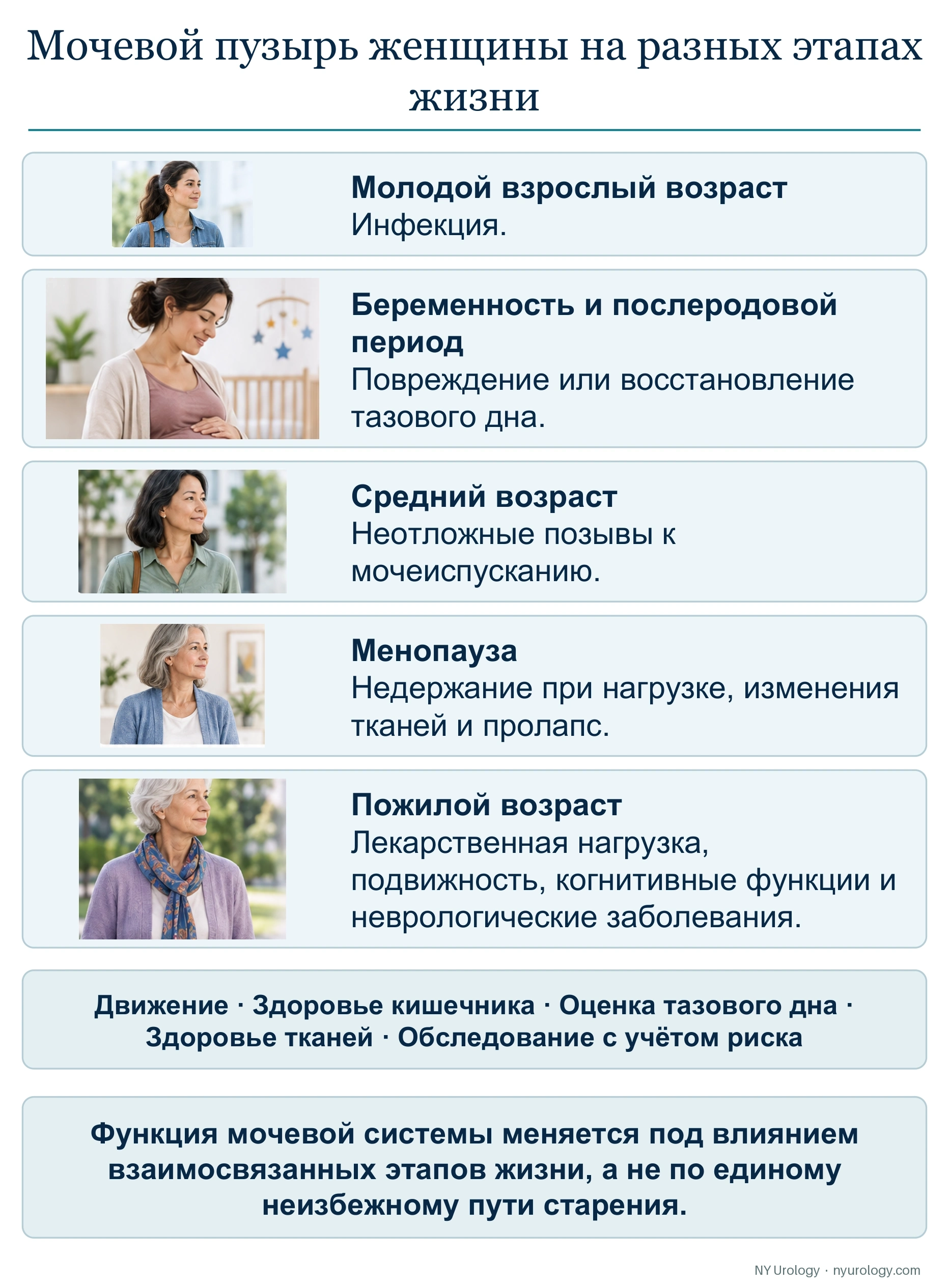 Мочевой пузырь женщины на разных этапах жизни